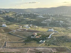 Farm Land for Sale in Zarqa Sarout