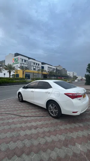 Used Toyota Corolla in Muscat