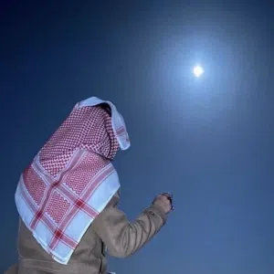 Ahmed Ali
