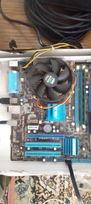 بورد و معالج و رام