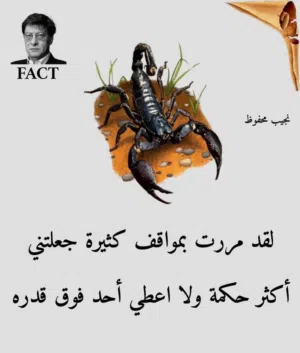 mostafa tohamy 