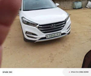 ابراهيم طبيله 