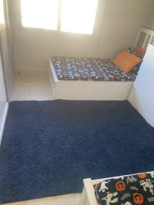 سجاد شاغي للبيع