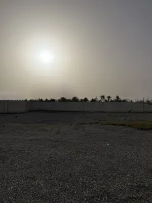 Farm Land for Rent in Al Batinah Al Masnaah