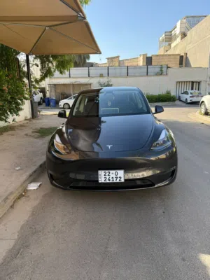 تيسلا 2024 للبيع