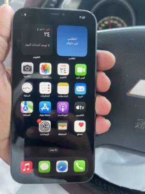 ايفون 12 برو ماكس ذاكره 256 جيبي نظيف بدون عيوب مغير شاشه فقط