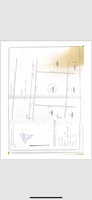 Commercial . 1007 m2 . Landlord2