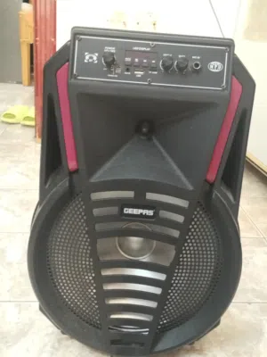 GEEPAS SPEAKAR