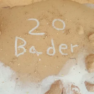 Bader Alkkly