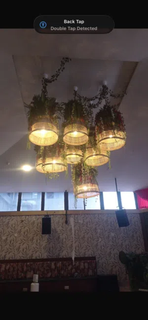 Roof Lights