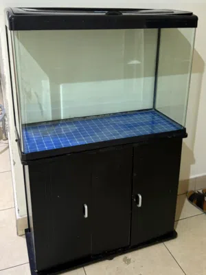 بيعه سريعه حوض سمك مع فلتر معالج واكسسوار fish aquarium