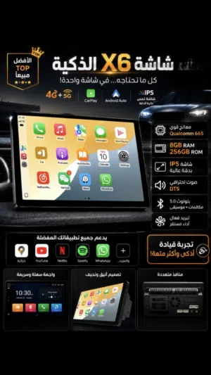 � شاشة X6 الأصلية
