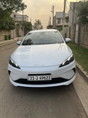 بي واي دي سيل فايف رقم سليمانية