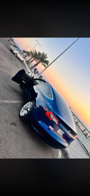 Used Tesla Model 3 in Mafraq