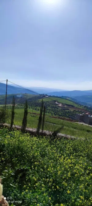Mixed Use Land for Sale in Jerash Unaybah