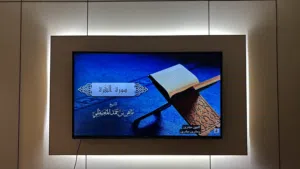 شاشة green استخدم مستعمل استعمال خفيف بحالة ممتازة