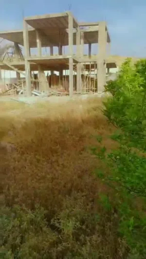 Farm Land for Sale in Jordan Valley Ghor Al Kafrain