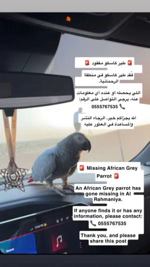 جزاكم الله خير