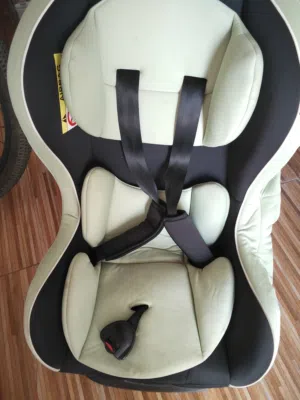 Car Seater Junior Brand