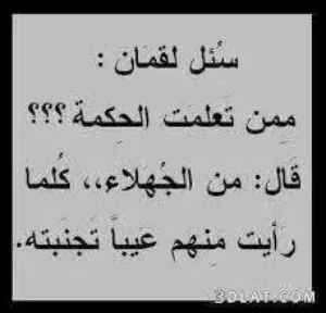 لبنى عبدالمنعم 