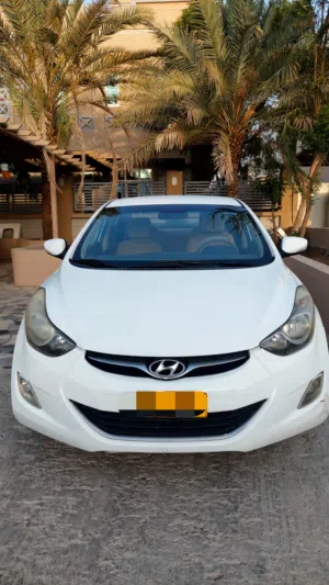 Used Hyundai Elantra in Muscat