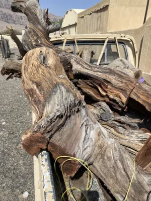 للبيع حطب سمر قوعل حال تنور