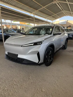 New Dongfeng Sky EV01 in Zarqa