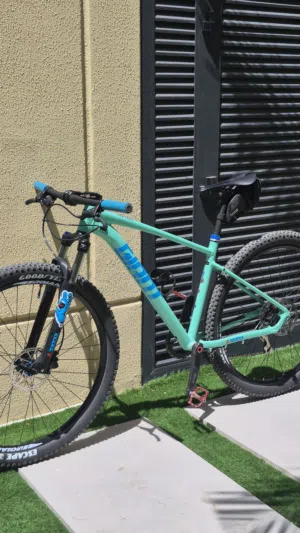 GIANT TALON 2 (CUSTOM BUILD)