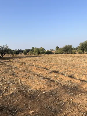 Mixed Use . 9 hectare . Landlord2