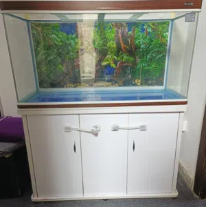 Large aquarium with cabinet and Free Accessories - good condition
