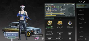 Pubg Accounts and Characters for Sale in Sana'a