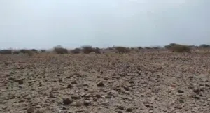 Residential Land for Sale in Muscat Amerat