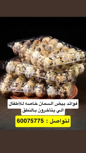 للبيع بيض سمان