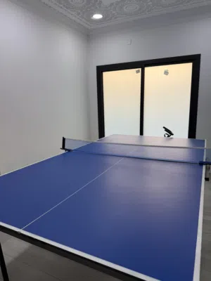 طاولة تنس ، ping pong