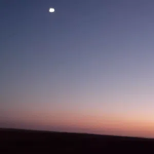 الترهوني 