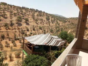 Farm Land for Sale in Salt Al Subeihi