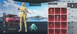 حساب بوبجي للبيع