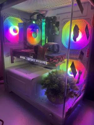.Pc جيل 12