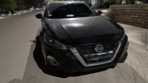 التيماء 2019