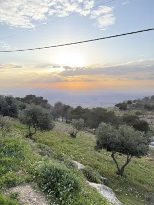 Mixed Use Land for Sale in Amman Naour