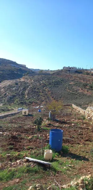 دنم أرض مزروع للبيع في بيت لحم