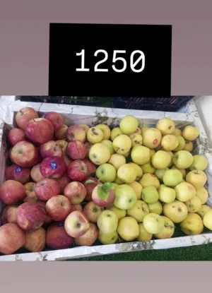 فواكه و خضراوات الاخوين