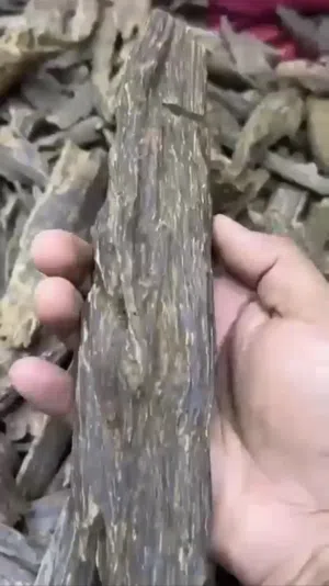 Sultani Royal Agarwood Original With Good Price