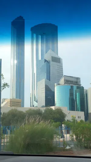 مطلوب مستثمر وممول  لمشروع استثمار عقارى انا خبره  فيه أكثر من 20 عام