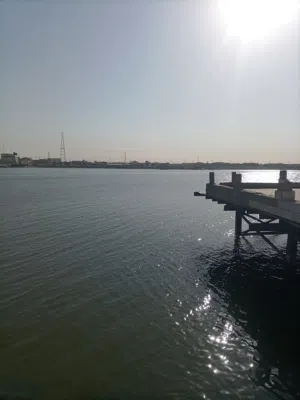 البصراوي 