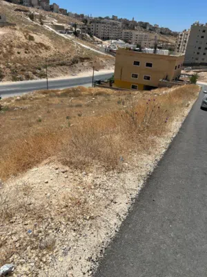 Residential Land for Sale in Amman Marka Al Janoubiya