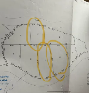 ‏أرض ‏.‏ فلسطين ‏.‏ الوسيط‏1