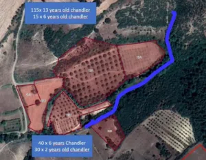 Farm . 34000 m2 . Landlord1