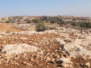 Residential Land for Sale in Amman Bilal
