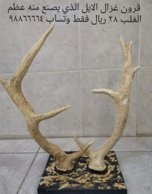 تحف لتزيين المنازل والمجالس لتواصل واتس